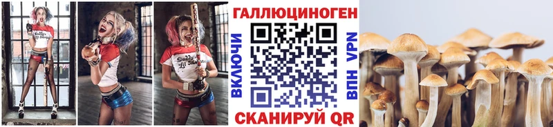блэк спрут вход Саров Псилоцибиновые грибы прущие грибы что такое