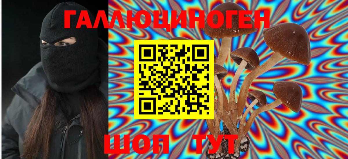 Псилоцибиновые грибы прущие грибы  Вход с VPN  Саров 